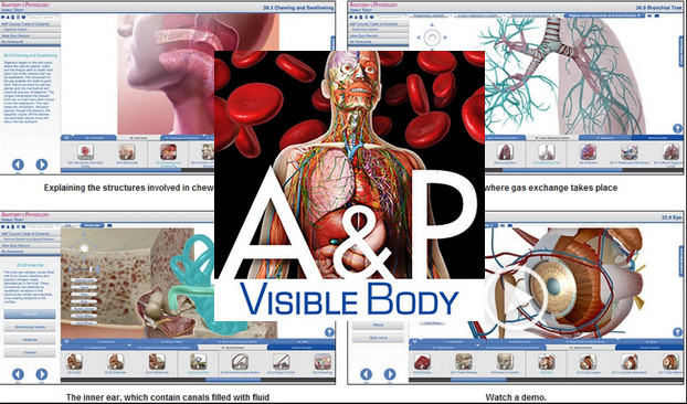 Anatomy And Physiology Visible Body